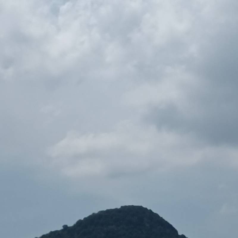 Fotosegnalazione di Villamassargia