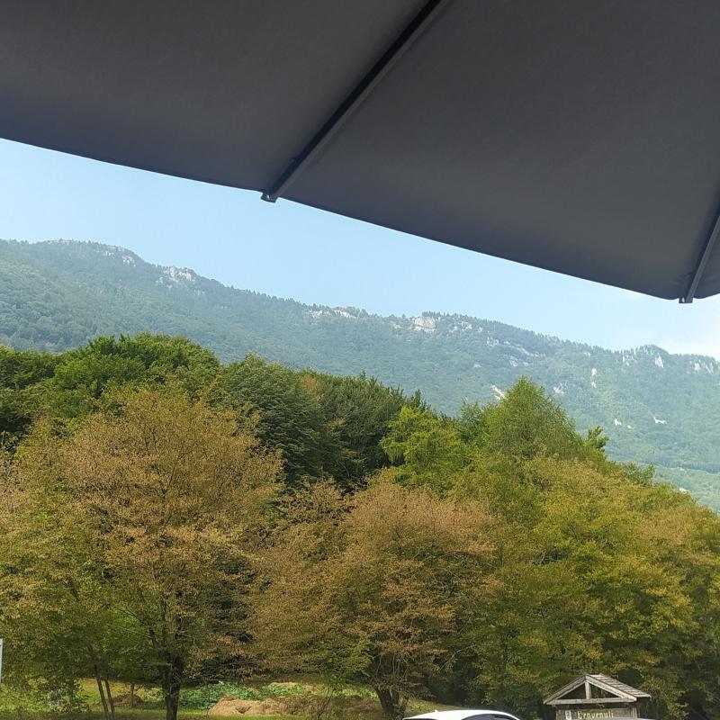 Fotosegnalazione di Alpago
