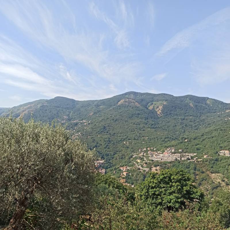 Fotosegnalazione di Tortorici