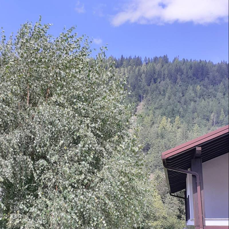 Fotosegnalazione di Corteno golgi