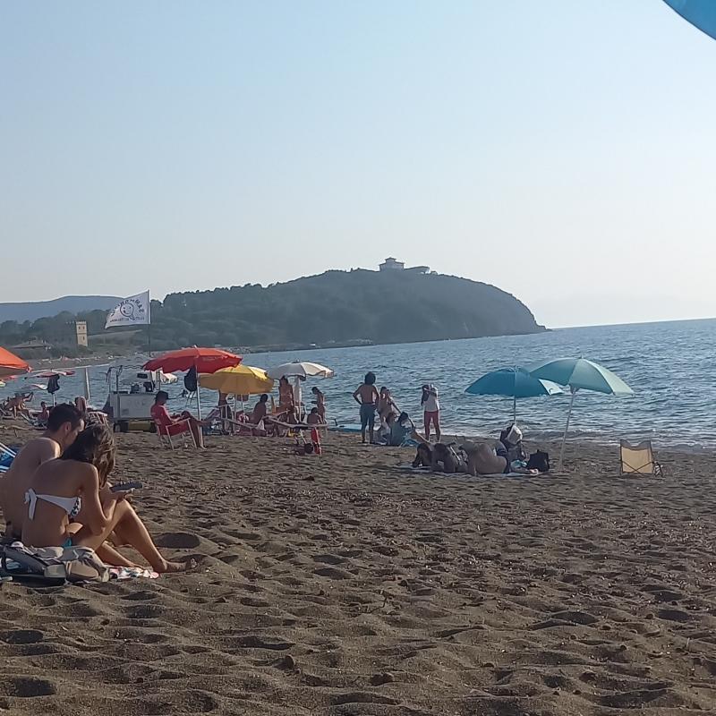 Fotosegnalazione di San vincenzo