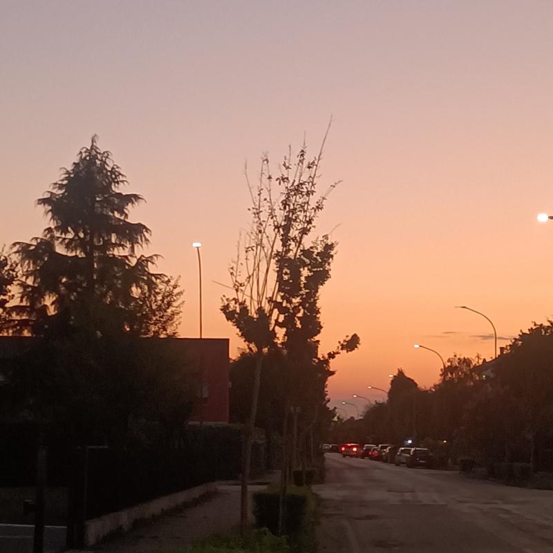 Fotosegnalazione di Martellago