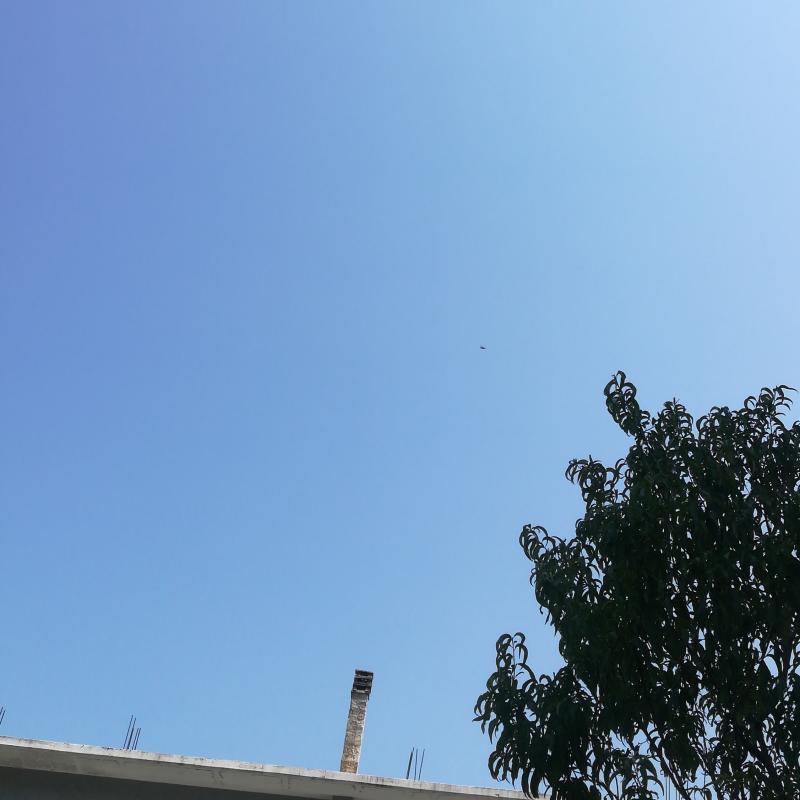 Fotosegnalazione di Daj
