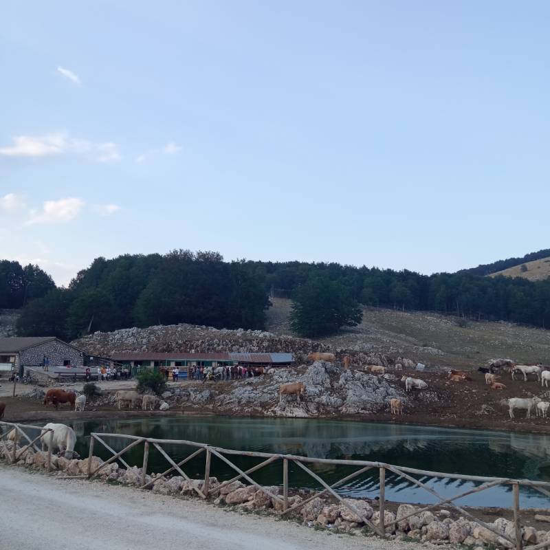 Fotosegnalazione di Campaegli