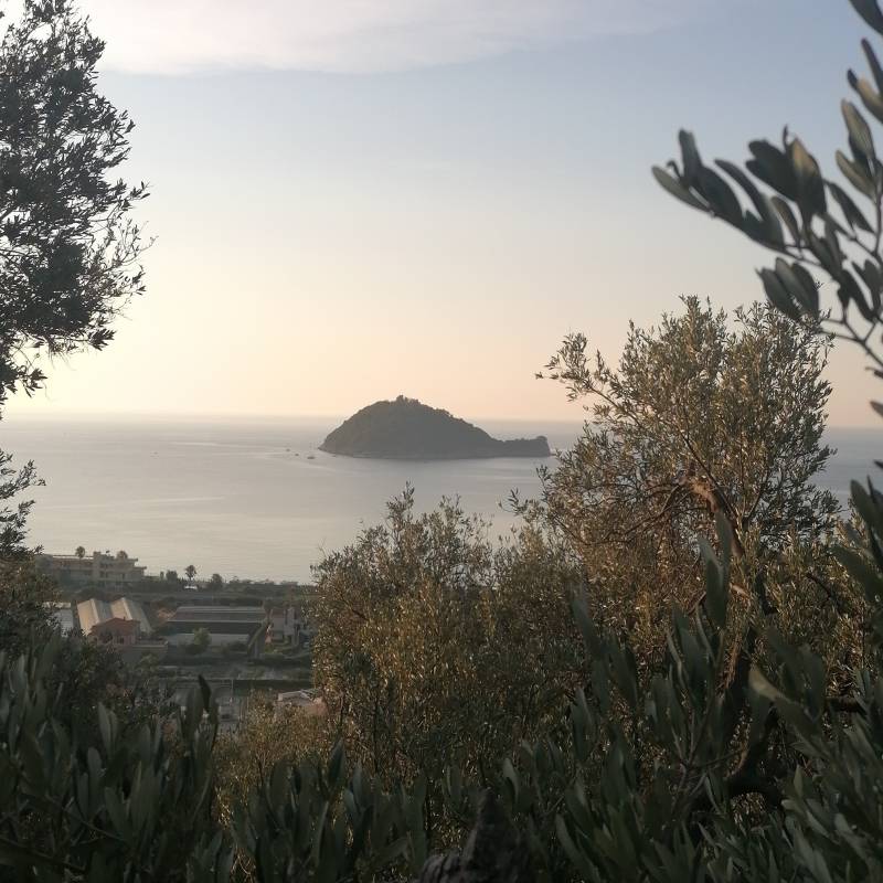 Albenga - isola gallinara