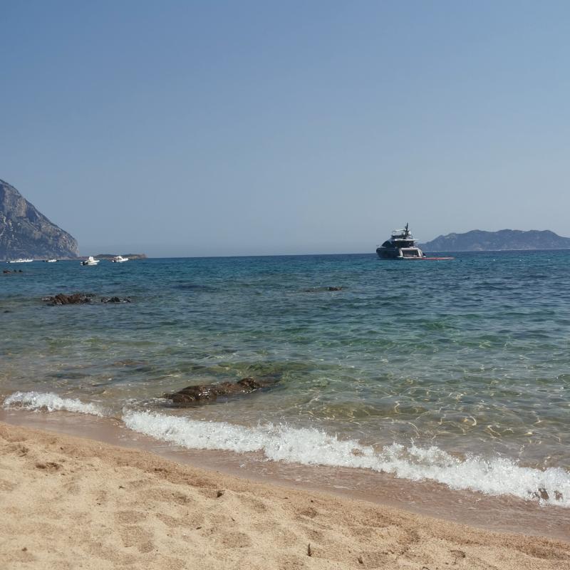 Fotosegnalazione di Loiri porto san paolo