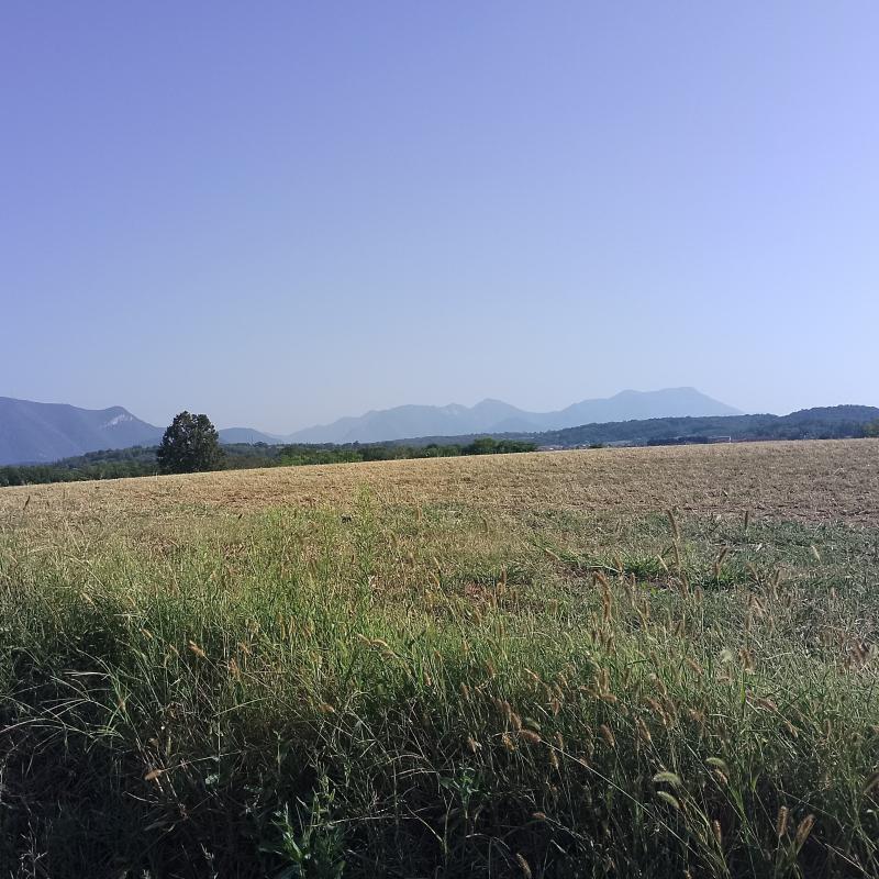 Fotosegnalazione di Calvagese della riviera