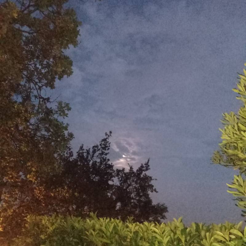 Fotosegnalazione di Soiano del lago