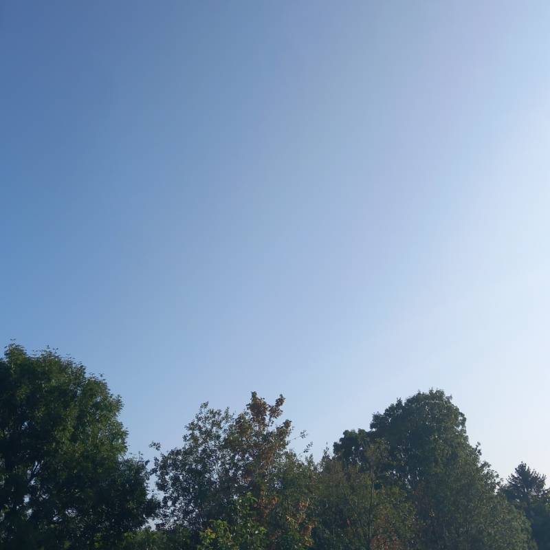 Fotosegnalazione di Mons