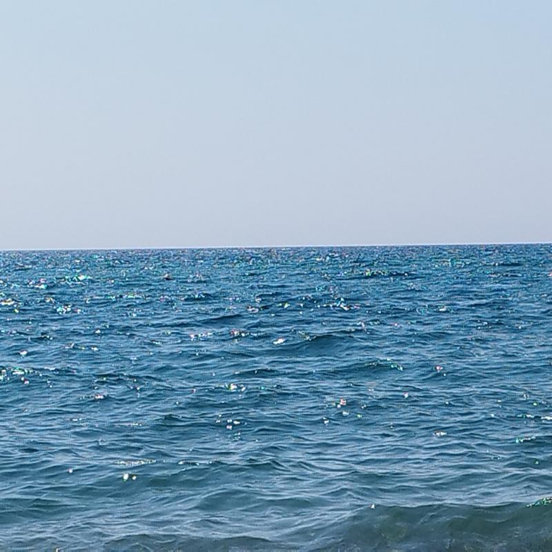 Fotosegnalazione di Sellia marina