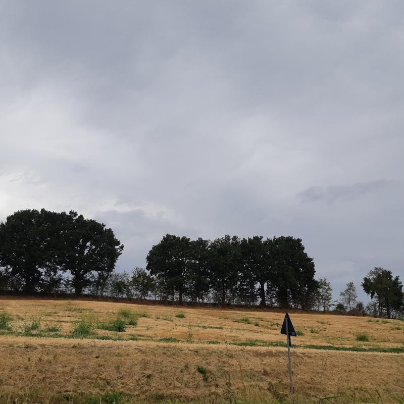 Fotosegnalazione di Castell'arquato