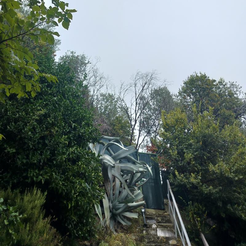 Fotosegnalazione di Genova bassa val bisagno