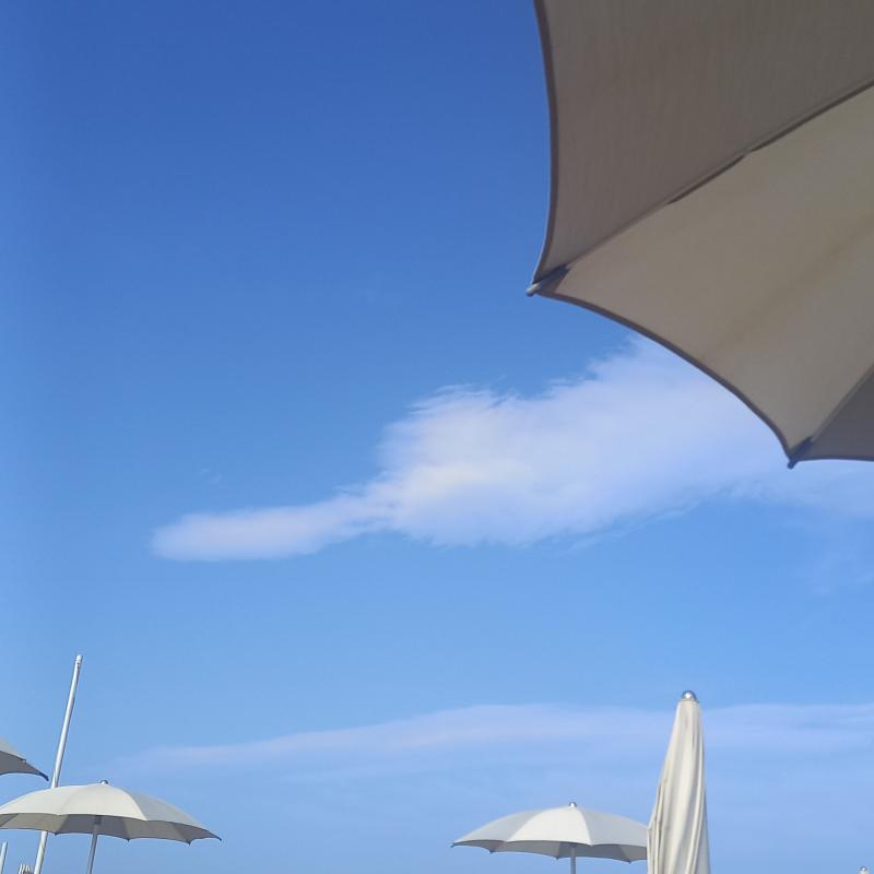 Fotosegnalazione di Bellariva