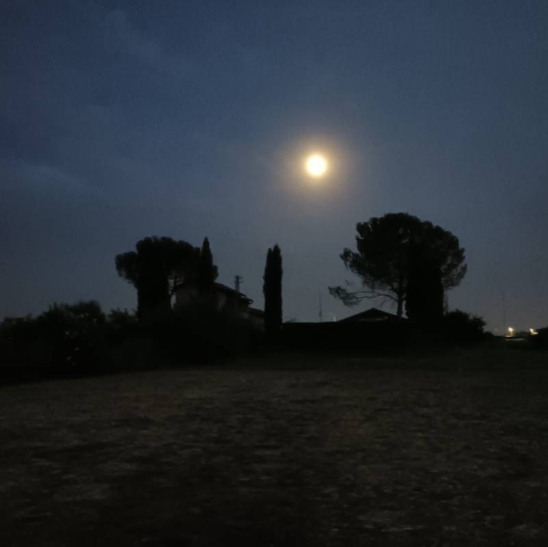 Fotosegnalazione di Roma tor vergata