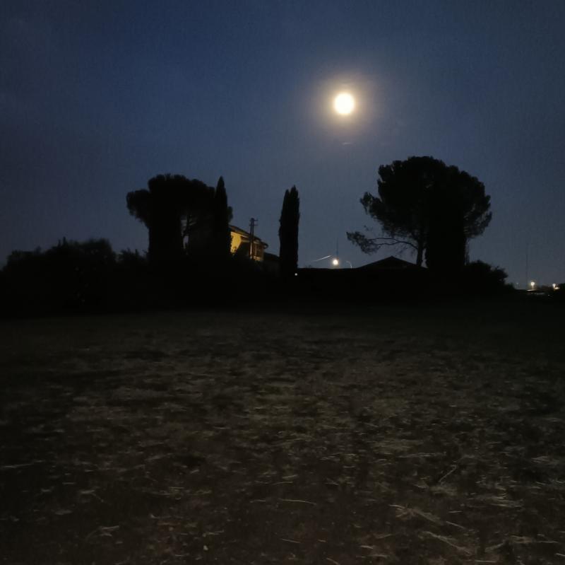 Fotosegnalazione di Roma tor vergata