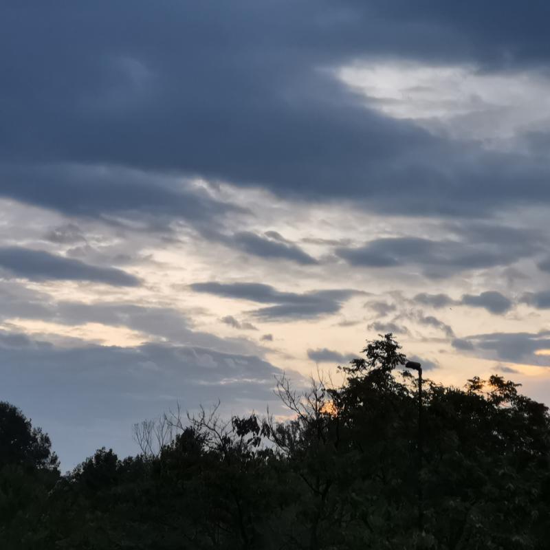 Fotosegnalazione di Sesto san giovanni