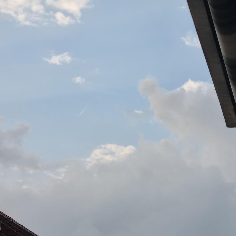 Fotosegnalazione di Roma aurelio
