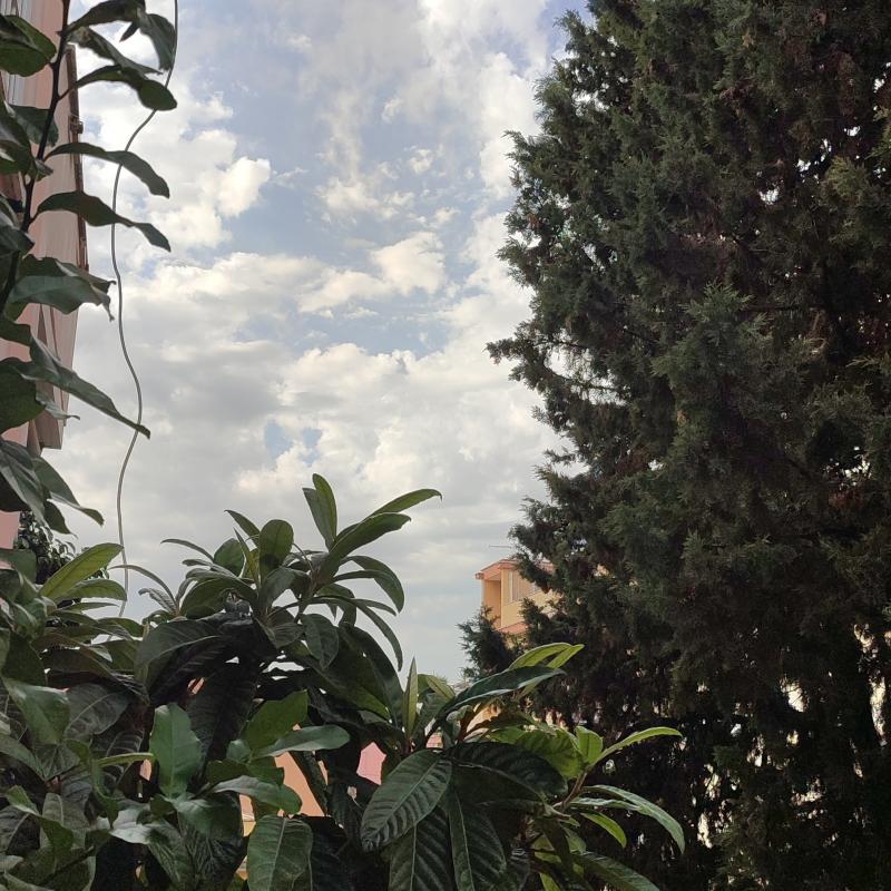 Fotosegnalazione di Roma gianicolense