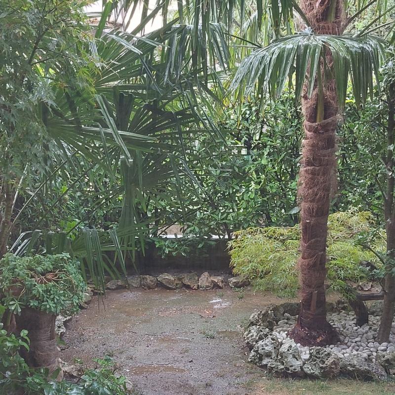 Fotosegnalazione di Bonate sotto