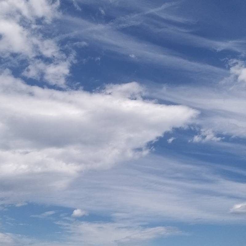 Fotosegnalazione di Pollina