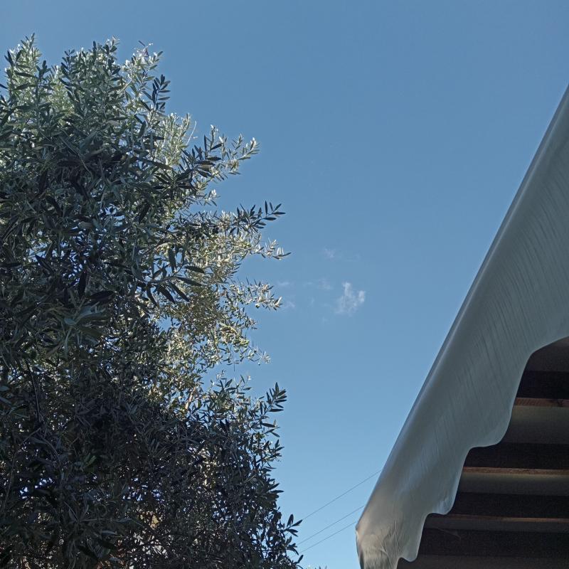 Fotosegnalazione di Ospitaletto