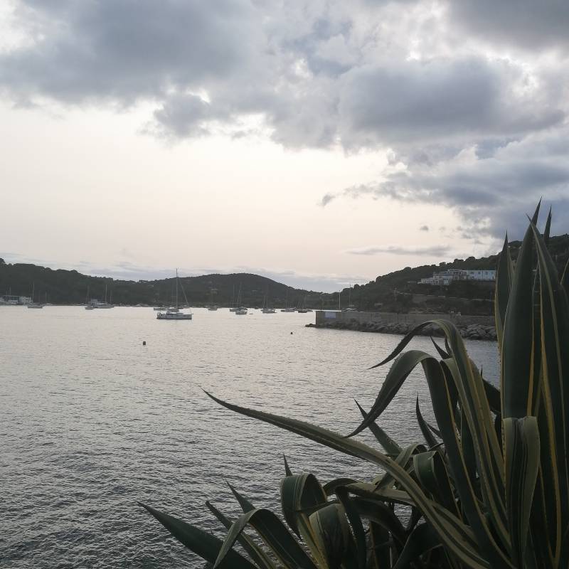 Fotosegnalazione di Porto azzurro