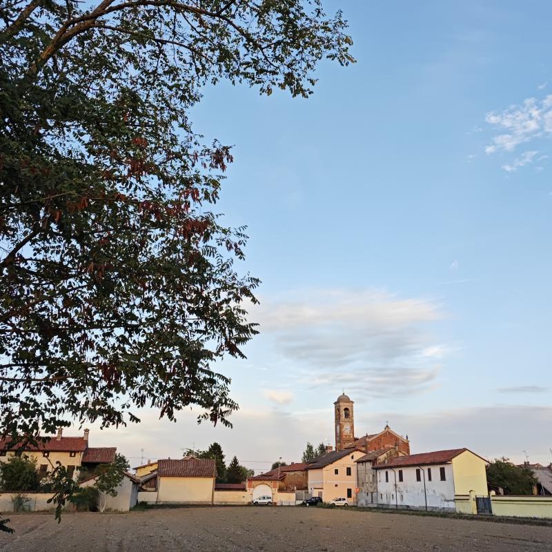 Fotosegnalazione di Gambarana