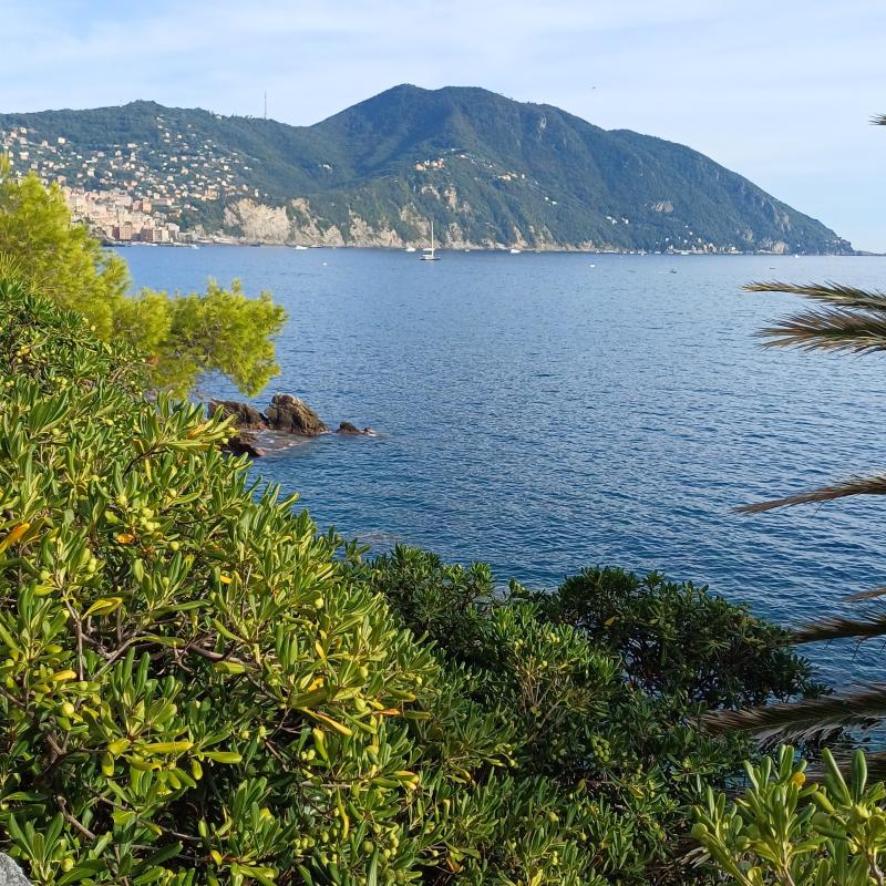 Fotosegnalazione di Recco