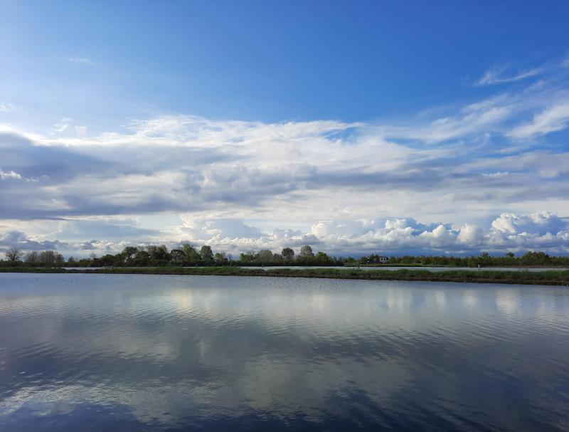 laguna di cavallino .