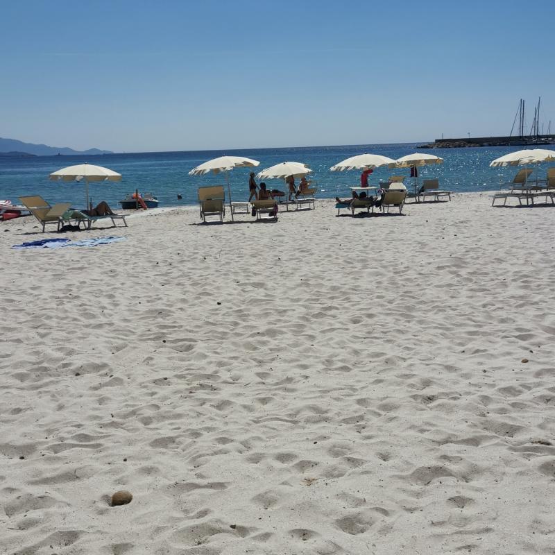 Fotosegnalazione di Alghero fertilia