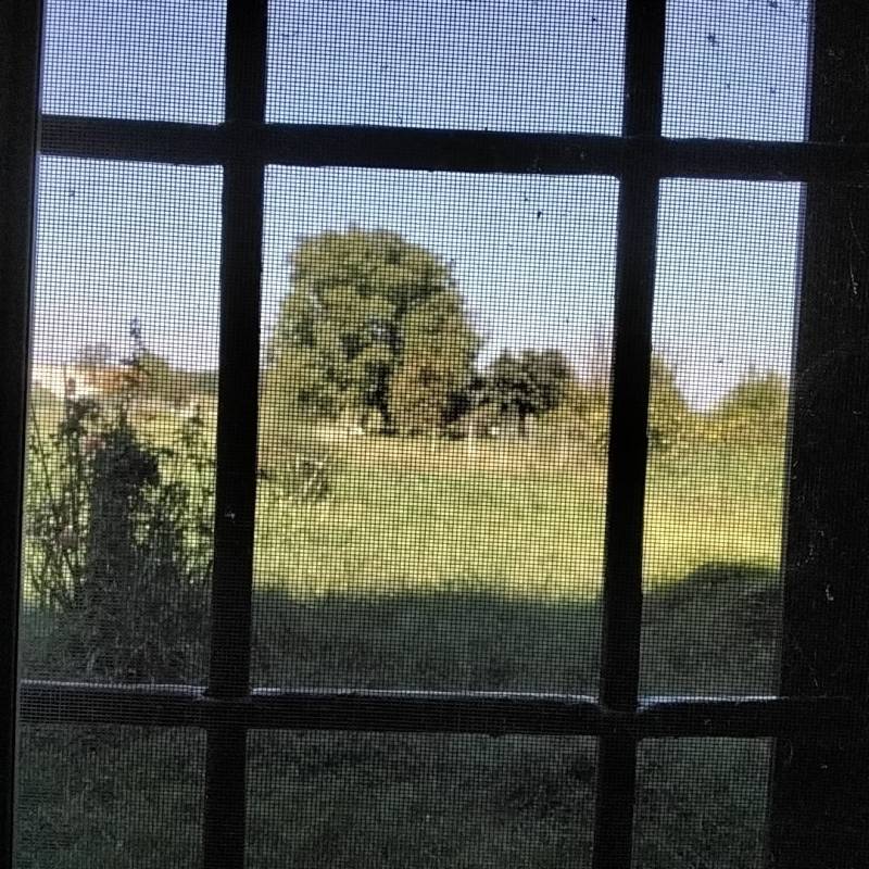 Fotosegnalazione di Semiana