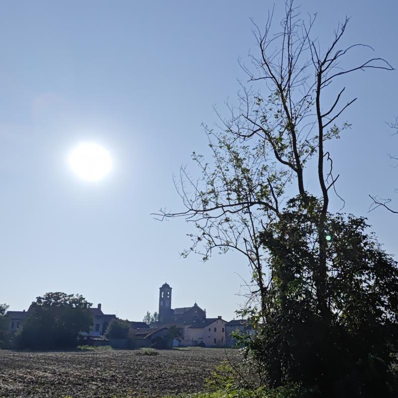 Fotosegnalazione di Gambarana