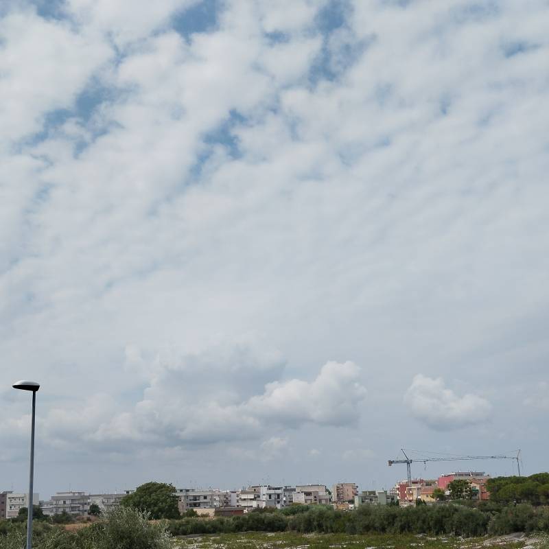 Fotosegnalazione di Rutigliano