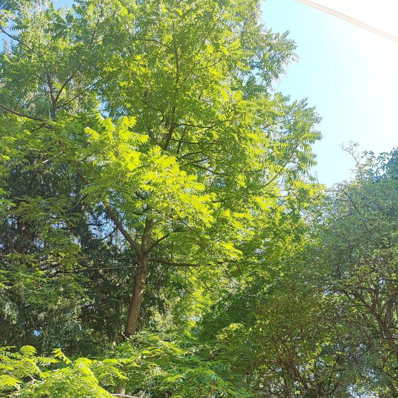 Fotosegnalazione di Parco di monza