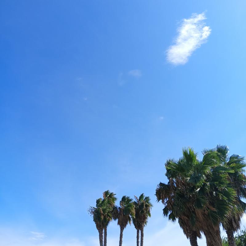 Fotosegnalazione di Siracusa litorale sud