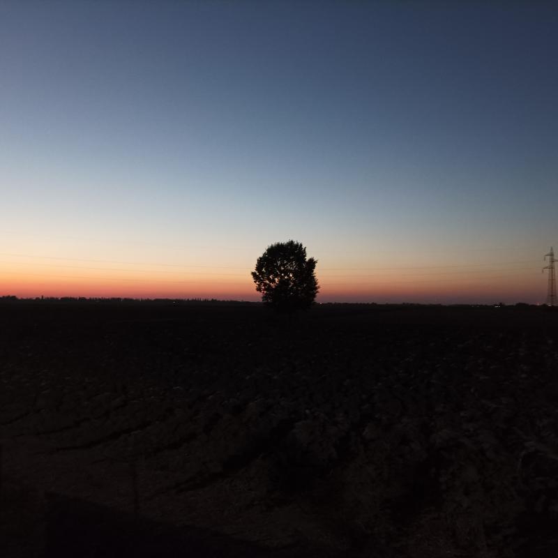 Fotosegnalazione di Ferrara sud