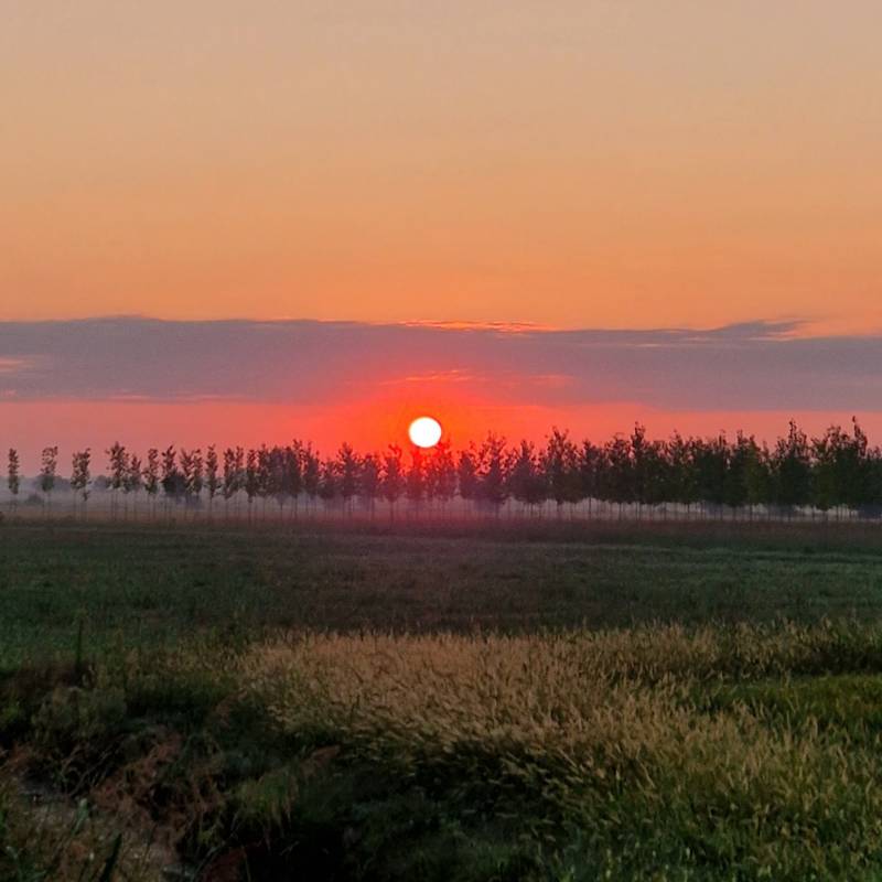 Alba settembrina a Gerenzago