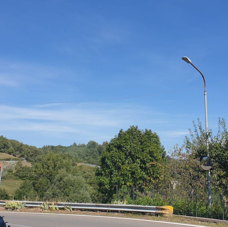 Fotosegnalazione di Roncobilaccio