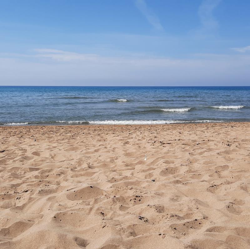 Fotosegnalazione di San vincenzo