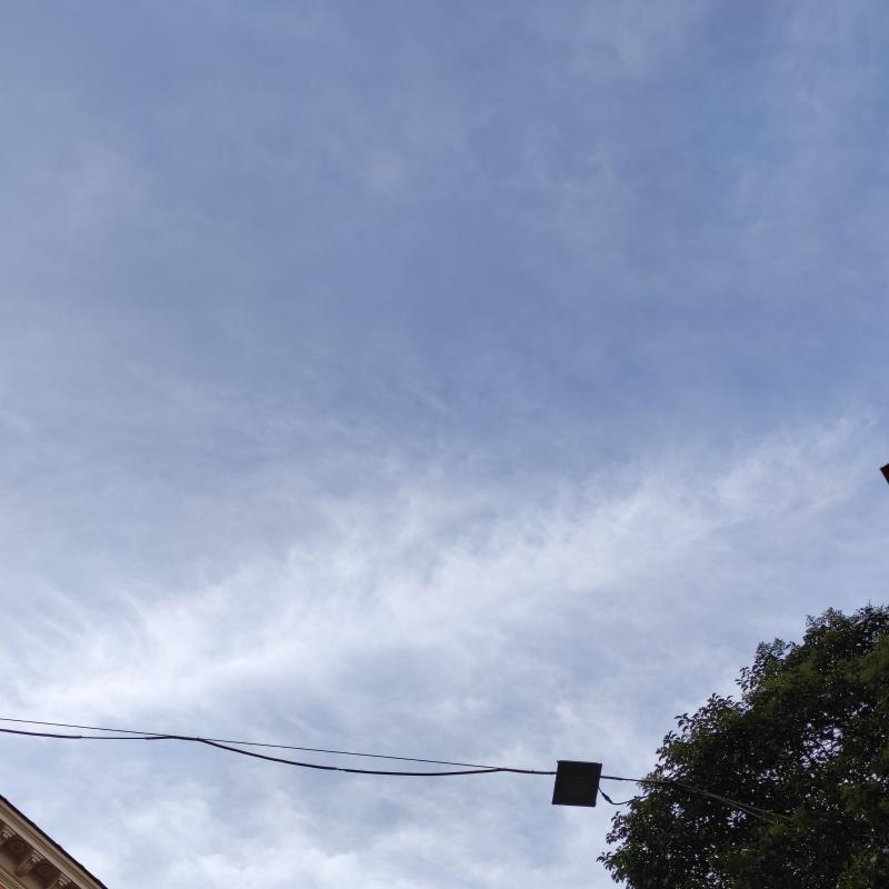 Fotosegnalazione di Roma pinciano