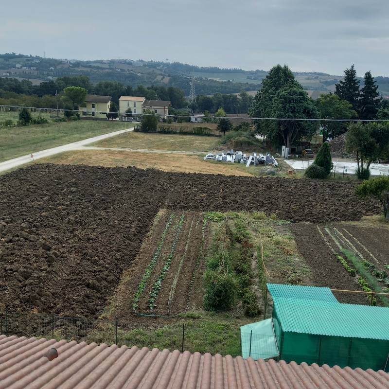 Fotosegnalazione di Treia