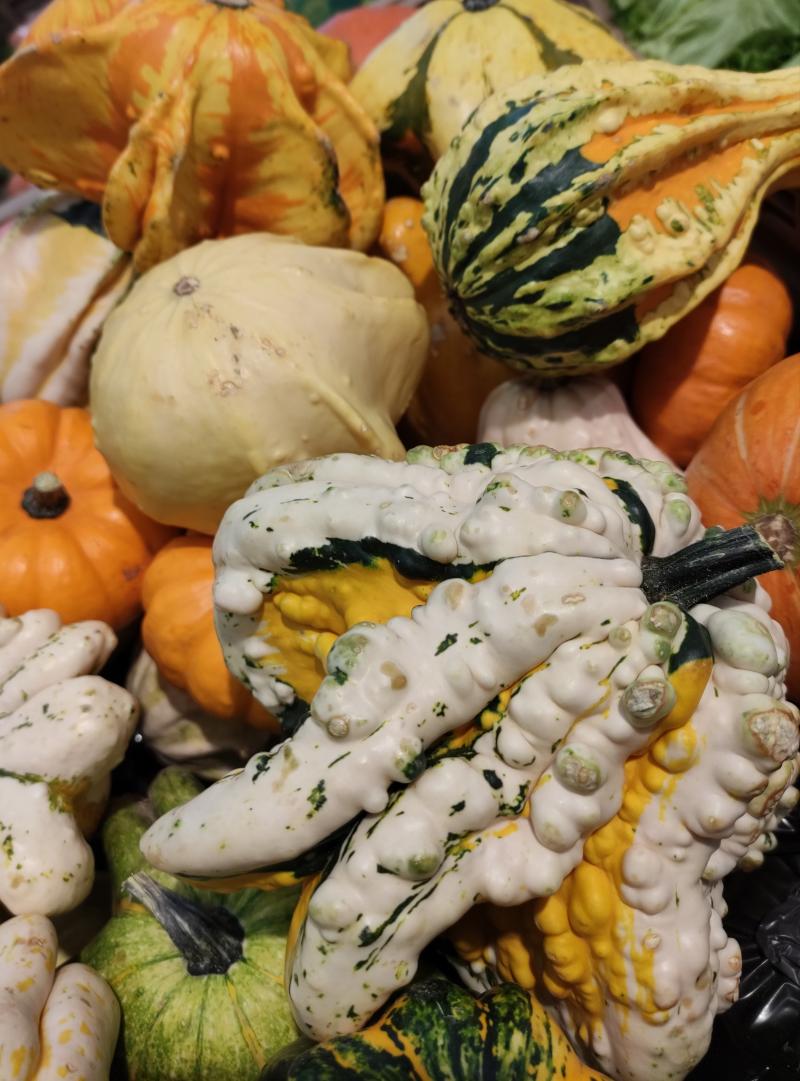 i primi colori dell'autunno a mantova