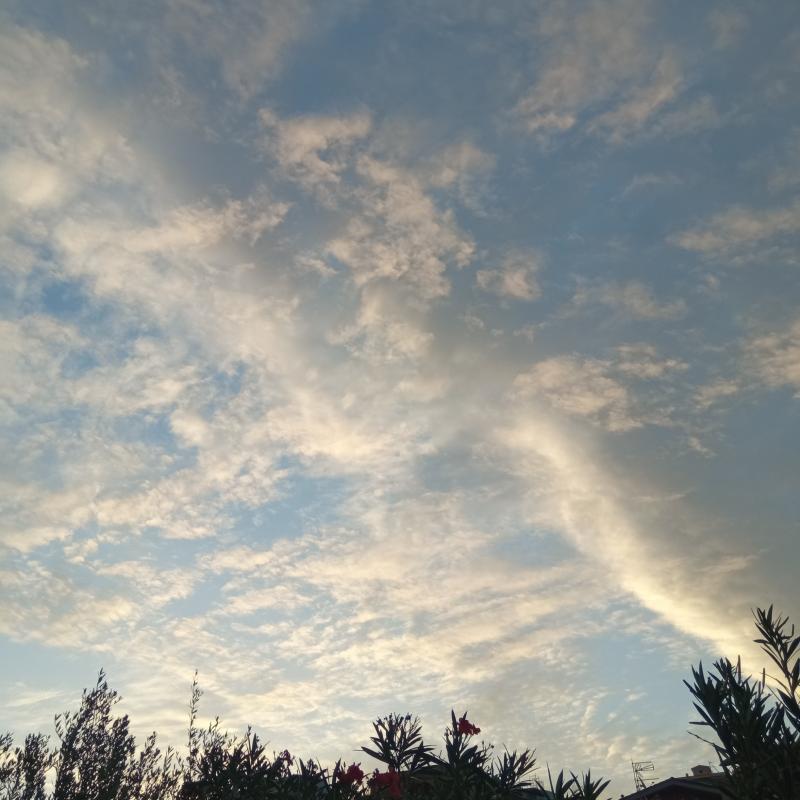 Fotosegnalazione di Palombara sabina
