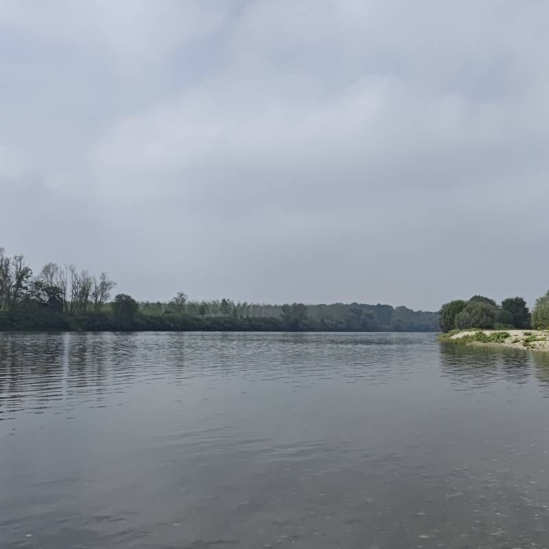 Fotosegnalazione di Frascarolo