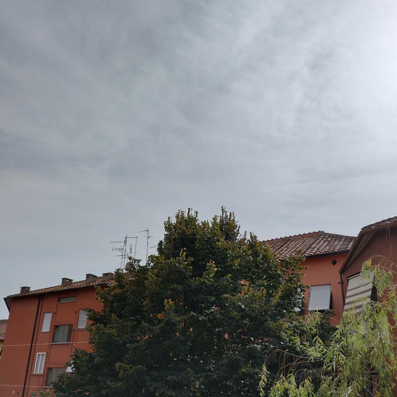 Fotosegnalazione di Roma tuscolano