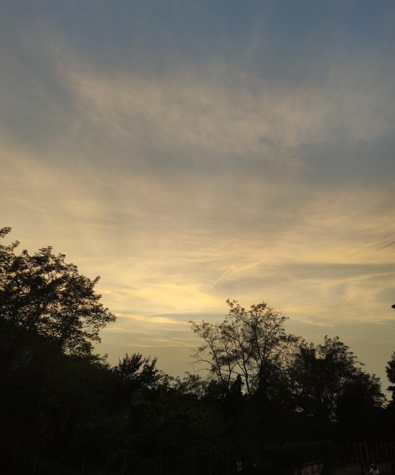 tramonto con velature
