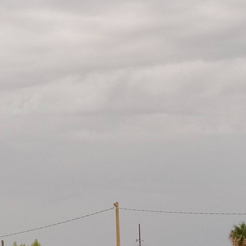 Fotosegnalazione di Magomadas