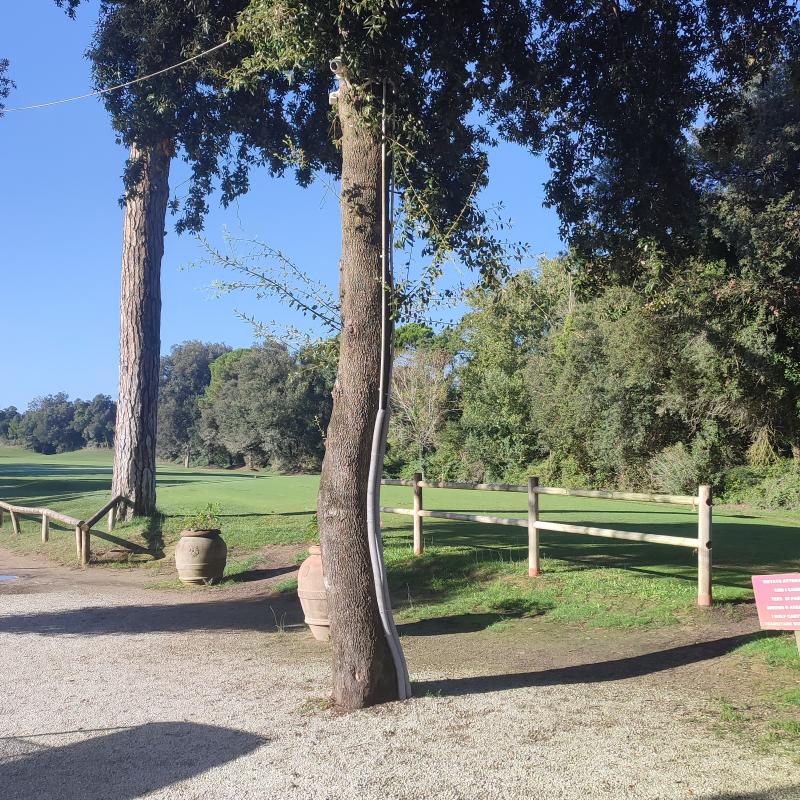 Fotosegnalazione di Pisa litorale