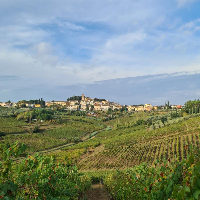 Fotosegnalazione di Cerreto guidi