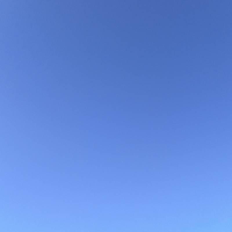 cielo senza piu' rondini partire per terre lontane